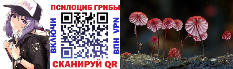 Псилоцибиновые грибы Psilocybine cubensis Удомля